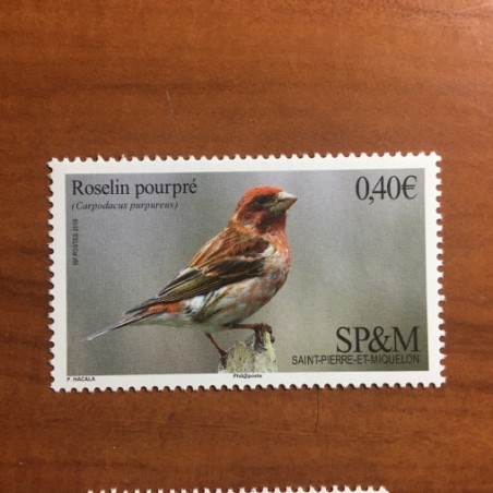 Saint Pierre et Miquelon 1148 ** MNH Faune bird roselin année 2016