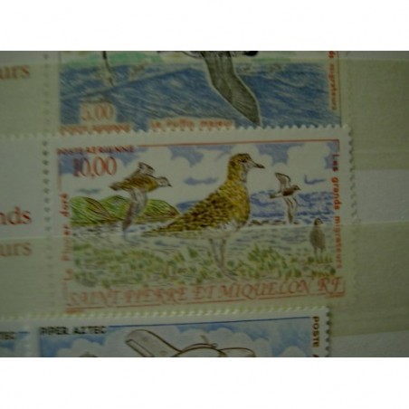 Saint Pierre et miquelon num PA 74 ** MNH en 1995 Oiseau Bird Sterne arctique
