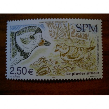 Saint Pierre et miquelon num PA 85 ** MNH en 2005 Oiseau Bird Pluvier siffleur