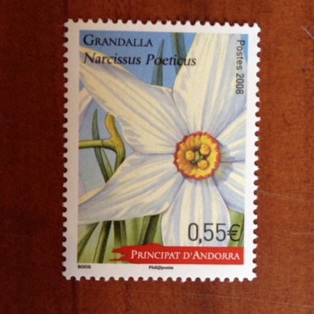 Andorre 656 ** MNH Narcisse fleur Année 2008