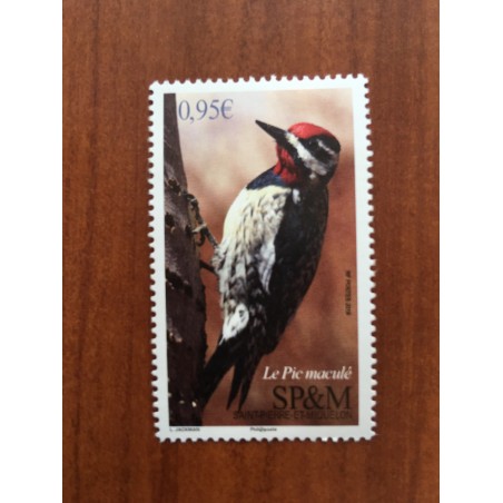 Saint Pierre et Miquelon 1198 ** MNH Faune oiseau Bird  année 2018
